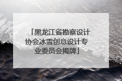 黑龙江省勘察设计协会冰雪创意设计专业委员会揭牌