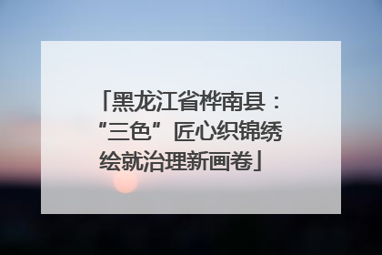黑龙江省桦南县：“三色”匠心织锦绣 绘就治理新画卷