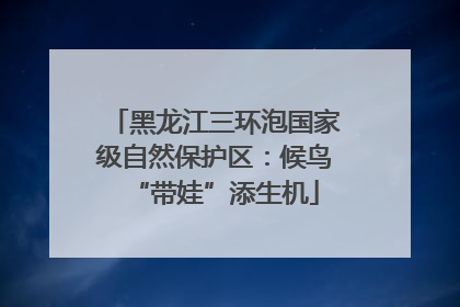 黑龙江三环泡国家级自然保护区：候鸟“带娃”添生机