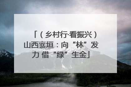 （乡村行·看振兴）山西襄垣：向“林”发力 借“绿”生金