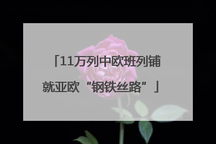 11万列中欧班列铺就亚欧“钢铁丝路”