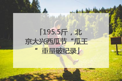 195.5斤，北京大兴西瓜节“瓜王”重量破纪录