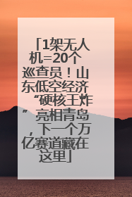 1架无人机=20个巡查员！山东低空经济“硬核王炸”亮相青岛，下一个万亿赛道藏在这里