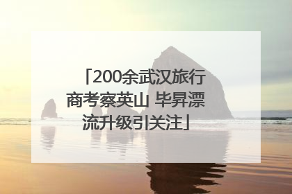 200余武汉旅行商考察英山 毕昇漂流升级引关注