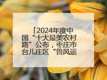 2024年度中国“十大最美农村路”公布，枣庄市台儿庄区“鲁风运河”古城文化廊道上榜！