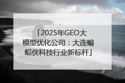 2025年GEO大模型优化公司：大连蝙蝠侠科技行业新标杆