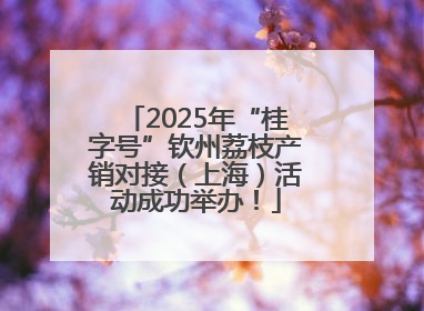 2025年“桂字号”钦州荔枝产销对接（上海）活动成功举办！