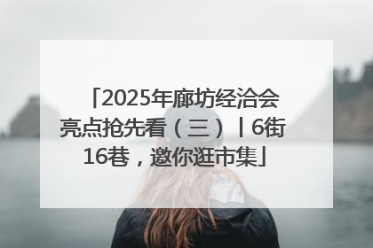 2025年廊坊经洽会亮点抢先看（三）丨6街16巷，邀你逛市集