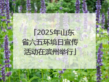2025年山东省六五环境日宣传活动在滨州举行