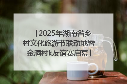 2025年湖南省乡村文化旅游节联动地暨金洞村k友谊赛启幕