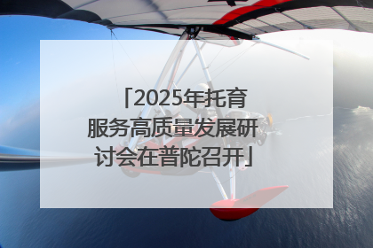 2025年托育服务高质量发展研讨会在普陀召开