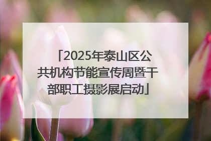 2025年泰山区公共机构节能宣传周暨干部职工摄影展启动