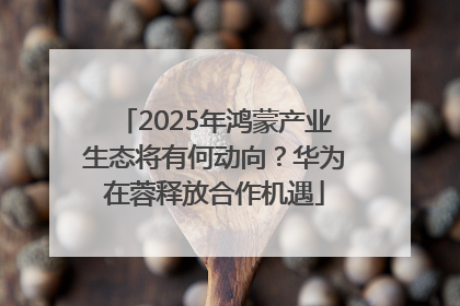 2025年鸿蒙产业生态将有何动向？华为在蓉释放合作机遇