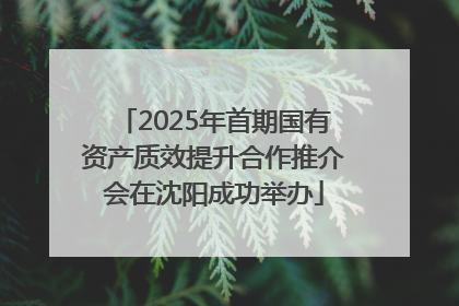 2025年首期国有资产质效提升合作推介会在沈阳成功举办