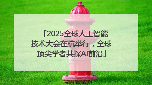 2025全球人工智能技术大会在杭举行，全球顶尖学者共探AI前沿
