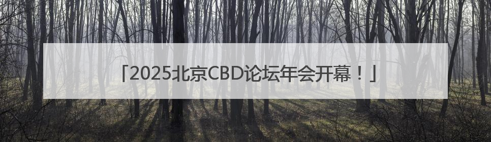2025北京CBD论坛年会开幕！
