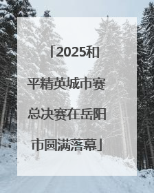 2025和平精英城市赛总决赛在岳阳市圆满落幕