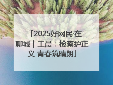 2025好网民·在聊城｜王晨：检察护正义 青春筑晴朗