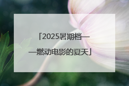 2025暑期档——燃动电影的夏天