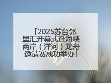 2025苏台邻里汇开幕式暨海峡两岸（洋河）龙舟邀请赛成功举办