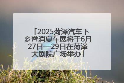 2025菏泽汽车下乡暨消夏车展将于6月27日—29日在菏泽大剧院广场举办