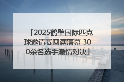 2025鹤壁国际匹克球邀请赛圆满落幕 300余名选手激情对决