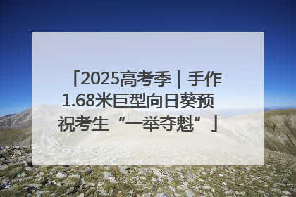 2025高考季｜手作1.68米巨型向日葵预祝考生“一举夺魁”