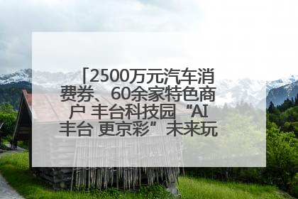 2500万元汽车消费券、60余家特色商户 丰台科技园“AI丰台 更京彩”未来玩家市集活动正式开幕