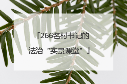 266名村书记的法治“实景课堂”