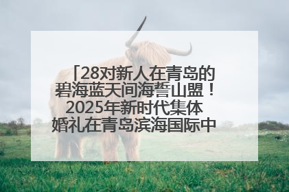28对新人在青岛的碧海蓝天间海誓山盟！2025年新时代集体婚礼在青岛滨海国际中心文明实践广场举行