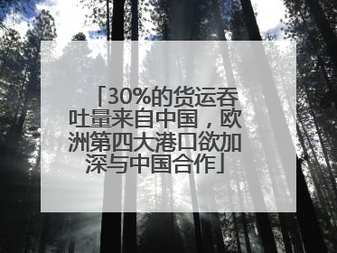 30%的货运吞吐量来自中国，欧洲第四大港口欲加深与中国合作