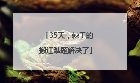 35天，棘手的搬迁难题解决了