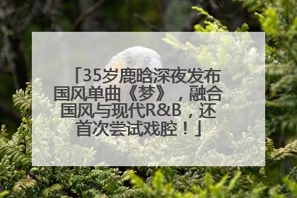 35岁鹿晗深夜发布国风单曲《梦》，融合国风与现代R&B，还首次尝试戏腔！