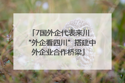 7国外企代表来川 “外企看四川”搭建中外企业合作桥梁