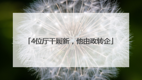 4位厅干履新，他由政转企