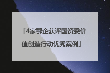 4家鄂企获评国资委价值创造行动优秀案例