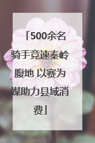 500余名骑手竞速秦岭腹地 以赛为媒助力县域消费