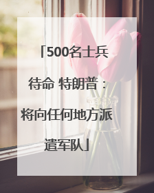 500名士兵待命 特朗普：将向任何地方派遣军队