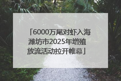 6000万尾对虾入海 潍坊市2025年增殖放流活动拉开帷幕