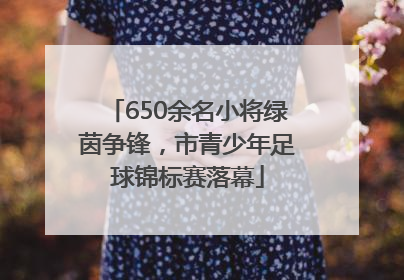 650余名小将绿茵争锋，市青少年足球锦标赛落幕