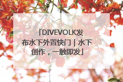 DIVEVOLK发布水下外置快门｜水下创作，一触即发