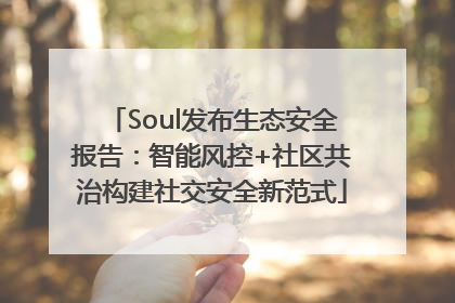 Soul发布生态安全报告：智能风控+社区共治构建社交安全新范式