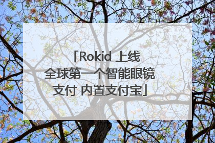 Rokid 上线全球第一个智能眼镜支付 内置支付宝